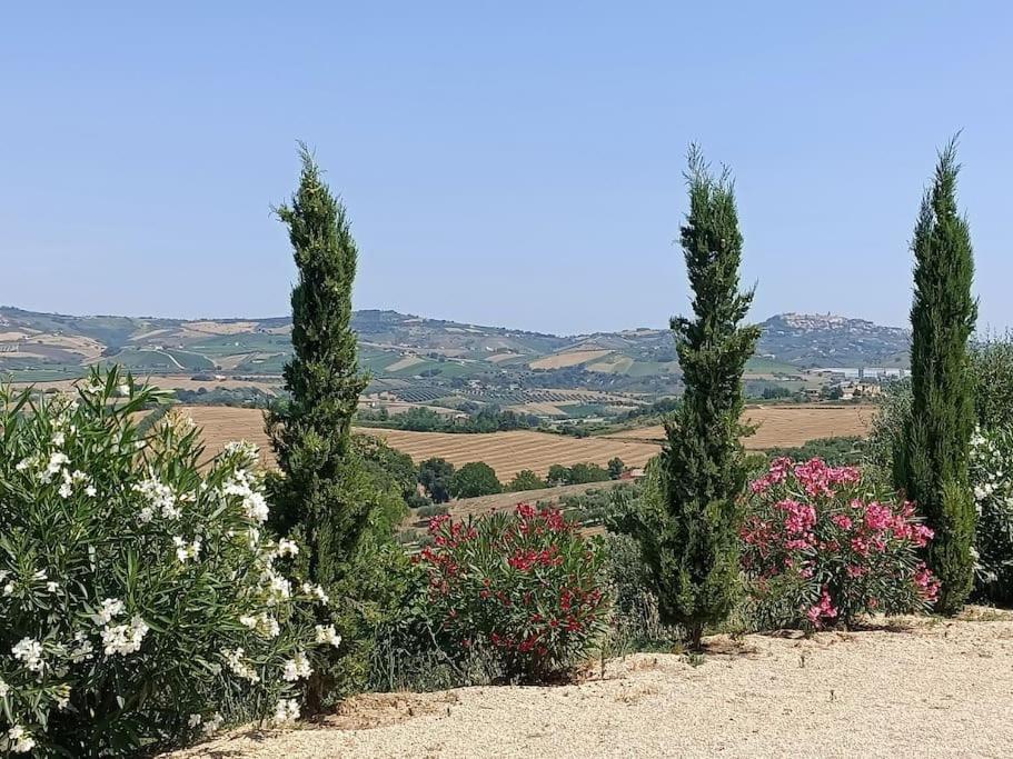 Appartamento Olivo Collecorvino Εξωτερικό φωτογραφία