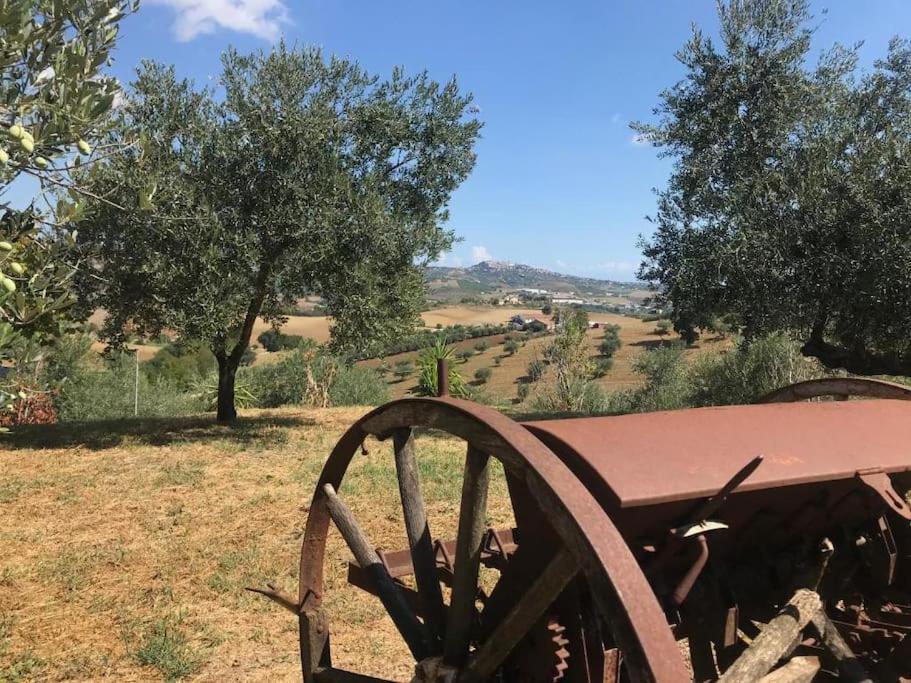 Appartamento Olivo Collecorvino Εξωτερικό φωτογραφία